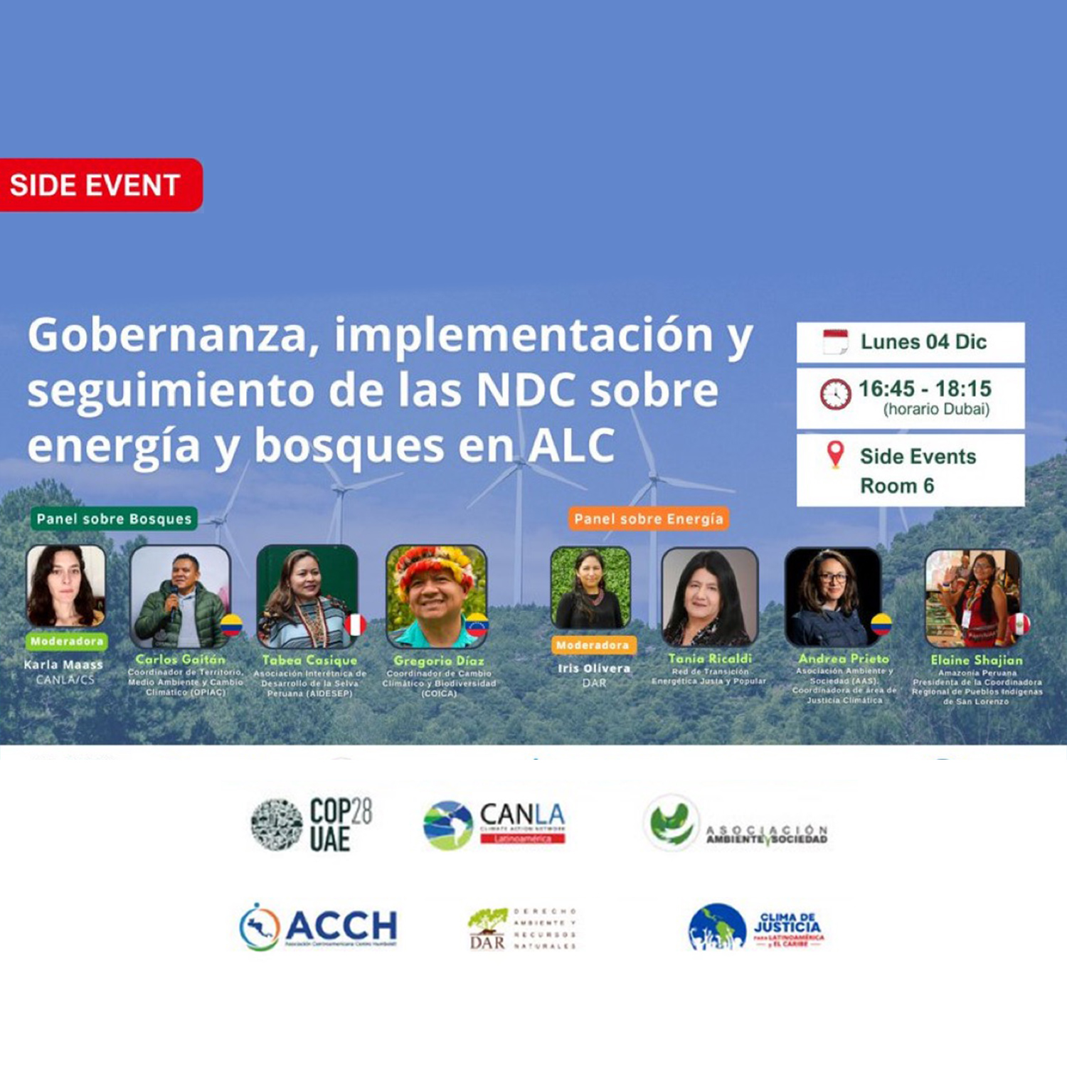 AAS participó en un side event de la COP28 sobre las NDC en temas de energía y bosques