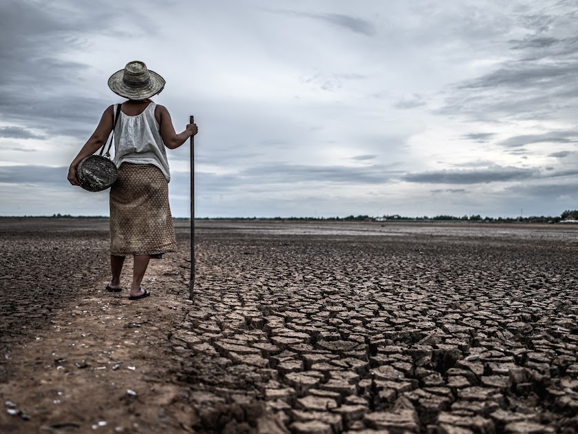 En la COP28 se aprueba el Fondo Mundial de Pérdidas y Daños